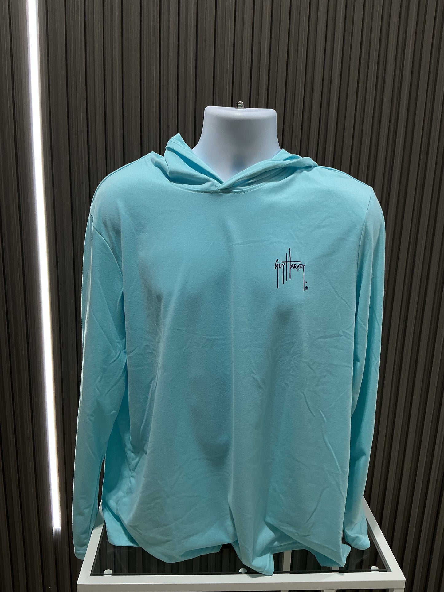 Hoodie Iced Aqua