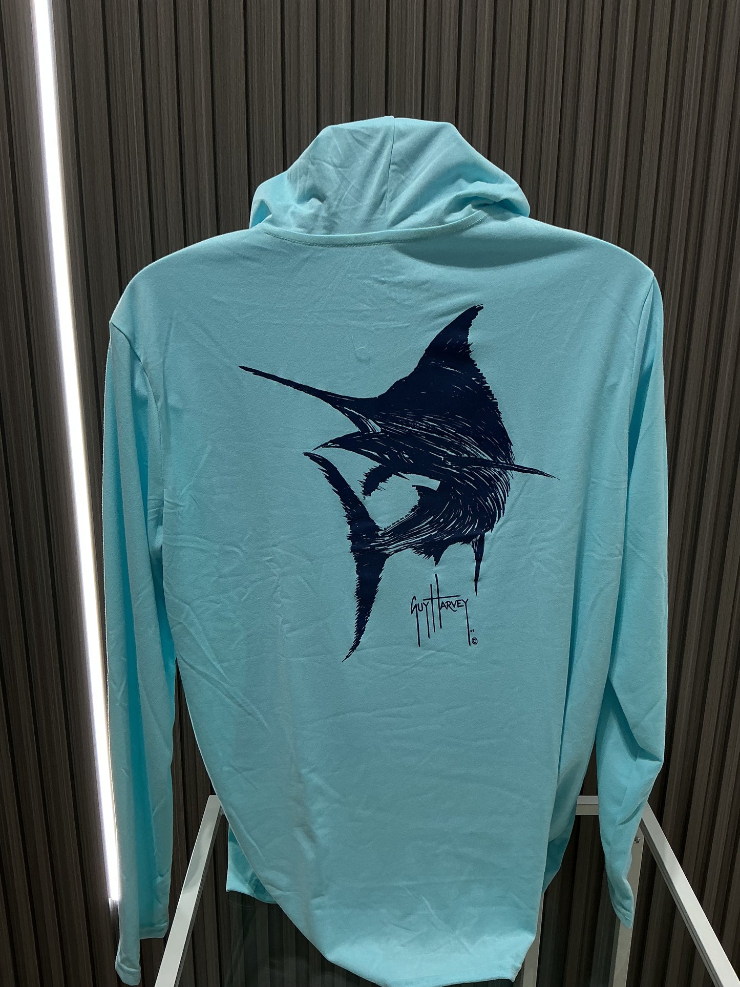 Hoodie Iced Aqua